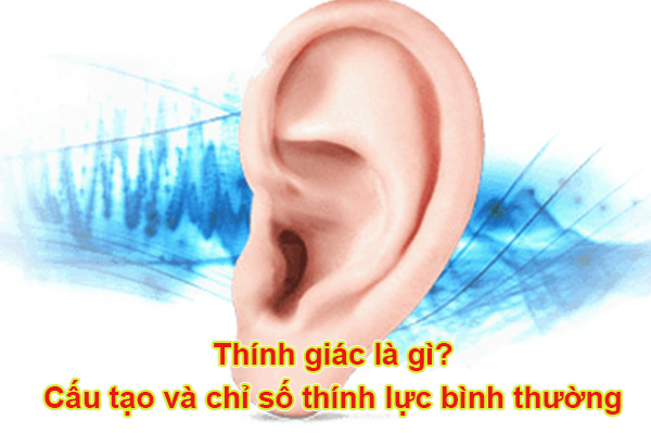 Thính giác là gì? Cấu tạo và chỉ số thính lực bình thường